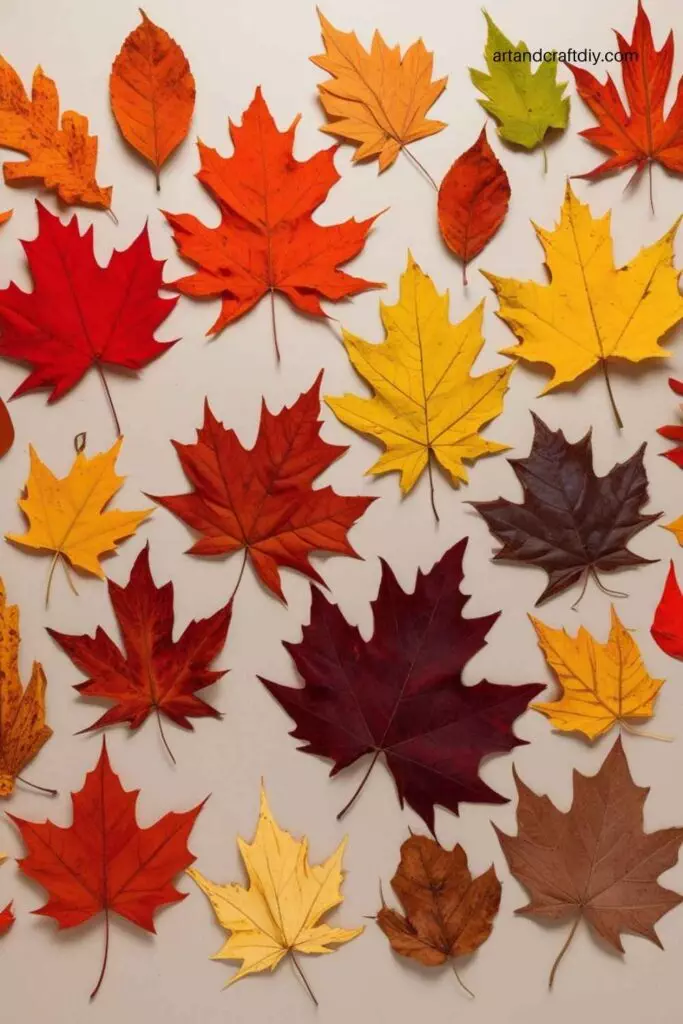 Leaf Collage